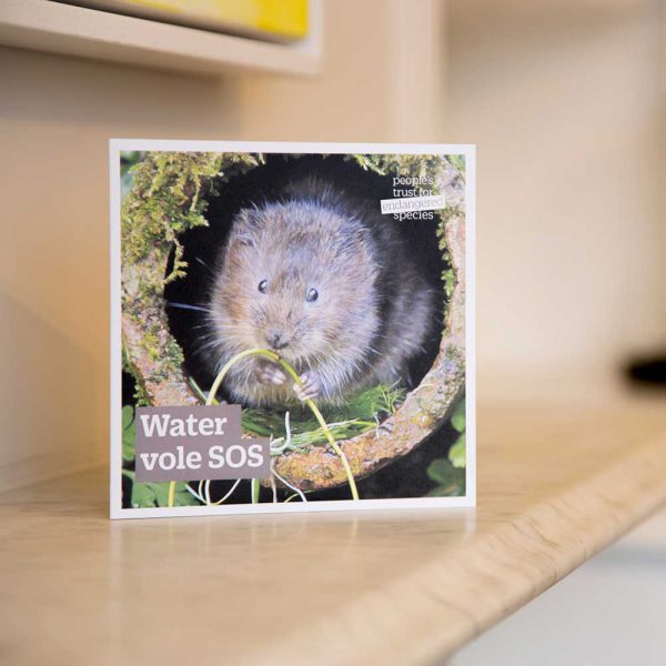 Gift-for-nature-PTES-Donation-gift-card-water-vole.jpg