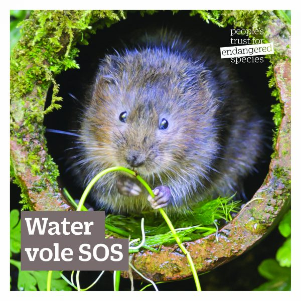 Gift for nature card -Watervole-SOS.jpg