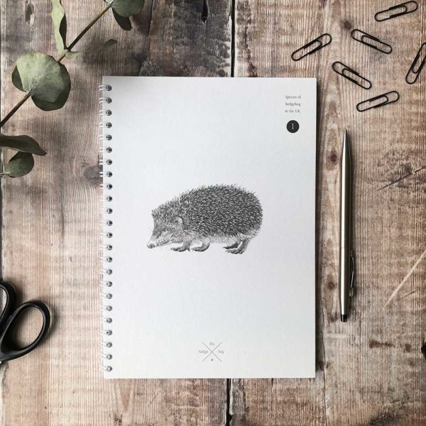Creature-Candy-ring-notebook-hedgehog-PTES