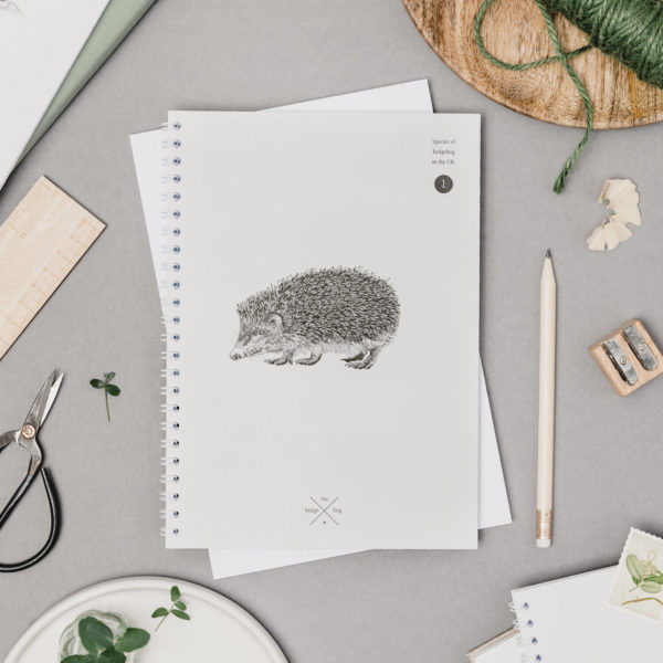 Creature Candy notebook - hedgehog