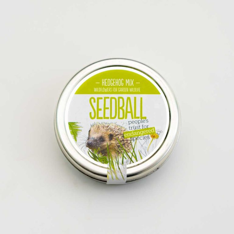 Seedball-PTES-Hedgehog-mix-seed-bomb-tin-front