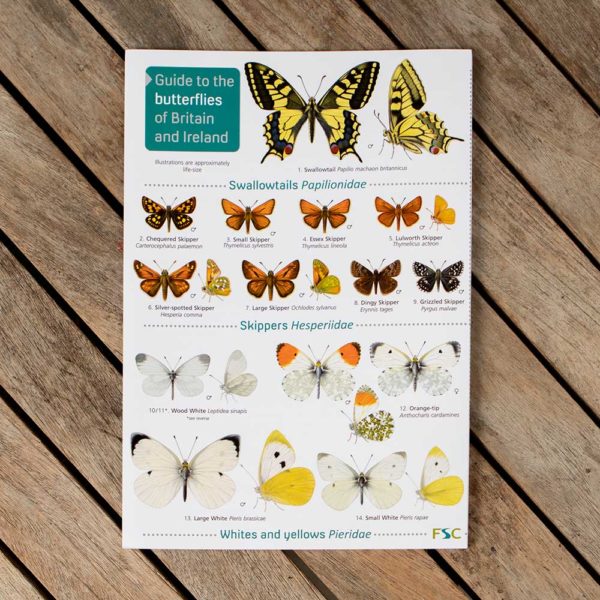 Butterflies-FSC-Guide-1-PTES
