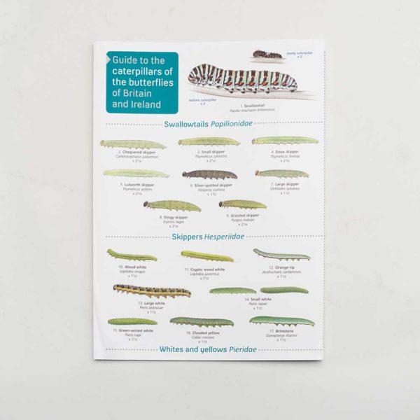 Caterpillars-FSC-Guide-PTES