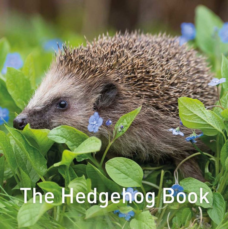 Front-cover-The-Hedgehog-Book-ptes
