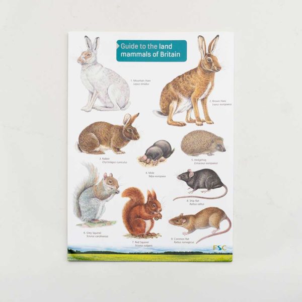 Land-mammals-FSC-Guide-PTES