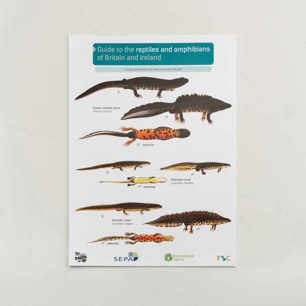 Reptiles-and-amphibians-FSC-Guide-PTES