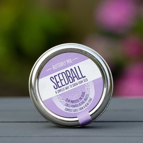 SEEDBALL-Tin_Butterfly-Mix-seedball-ptes