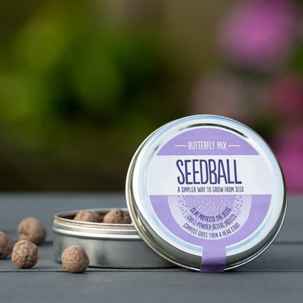 Seedball-Butterfly-Mix-Tin-PTES