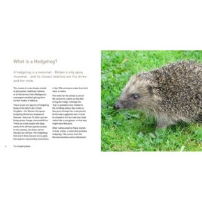 The Hedgehog Book by Hugh Warwick - People's Trust for Endangered Species