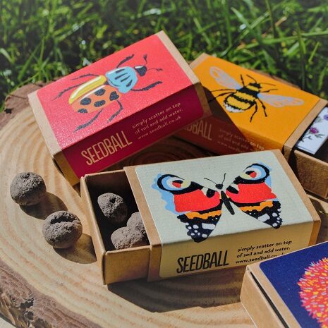 Seedball Wildlife Collection Box - PTES