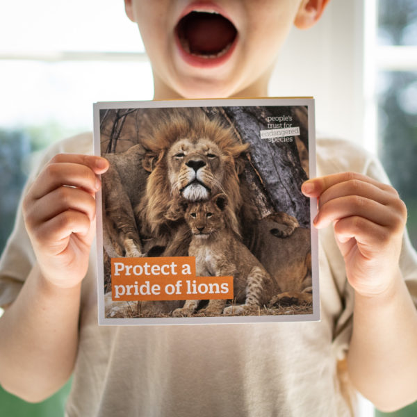Protect a pride of lions Gift for Nature gift card
