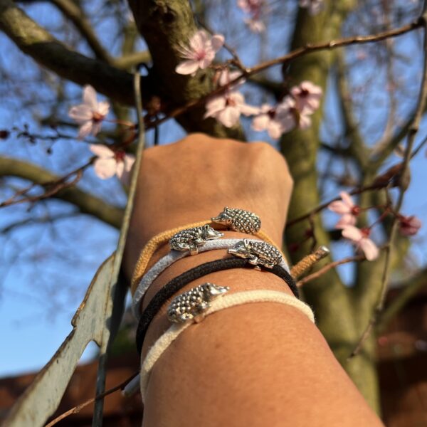 Four colourways hedgehog bracelet - People's Trust for Endangered Species