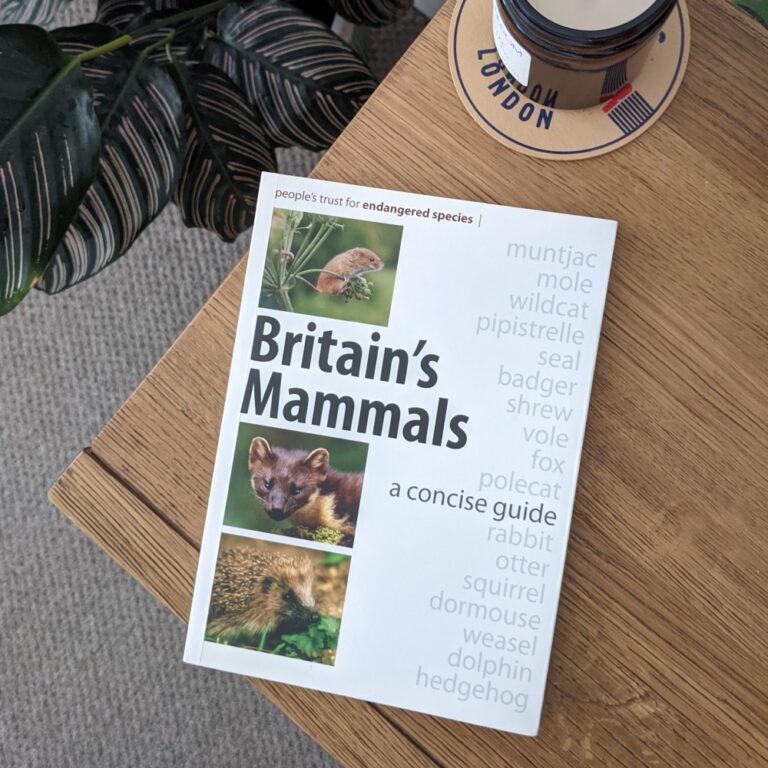 Britain's Mammals David Wembridge