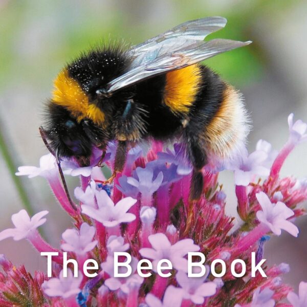 The-Bee-Book-cover