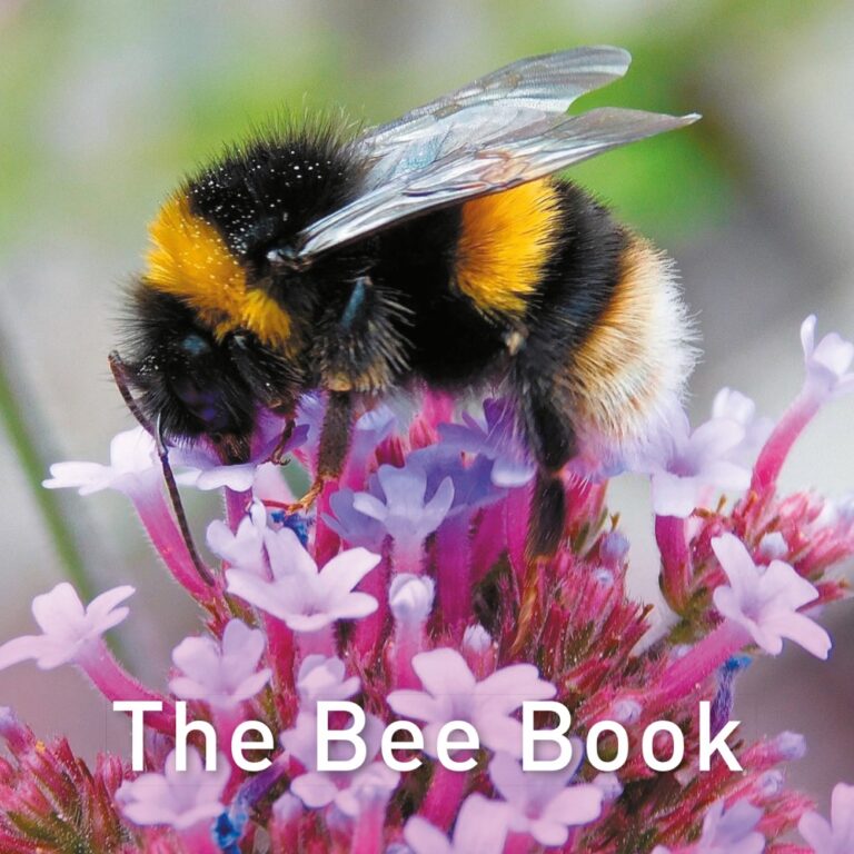 The-Bee-Book-cover