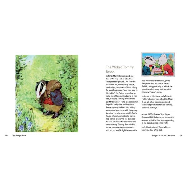 Badger Book by Jo Byrne PTES