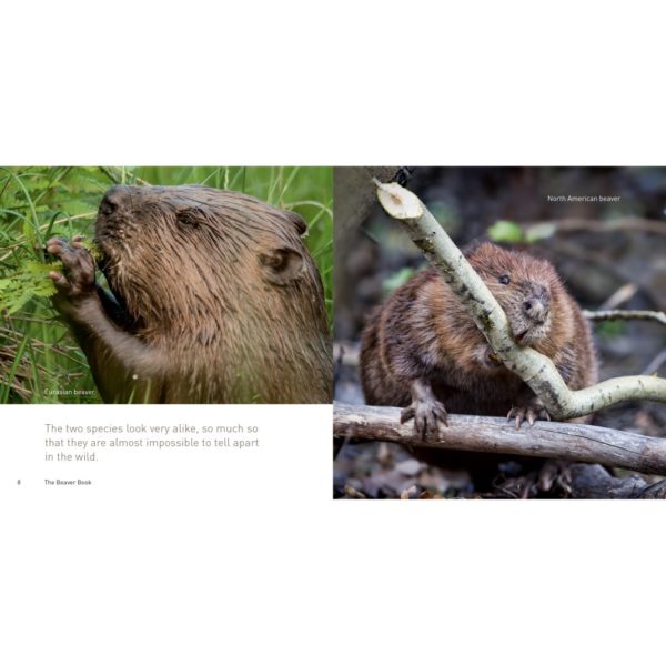 The Beaver Book by Hugh Warwick PTES