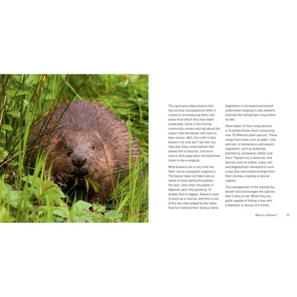 The Beaver Book by Hugh Warwick PTES