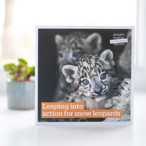 Snow Leopards Gift for Nature