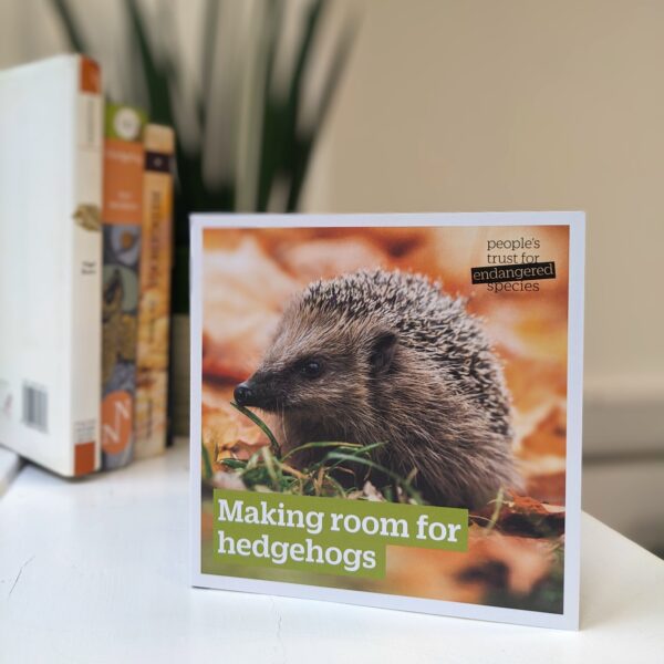 Hedgehog Gift for Nature