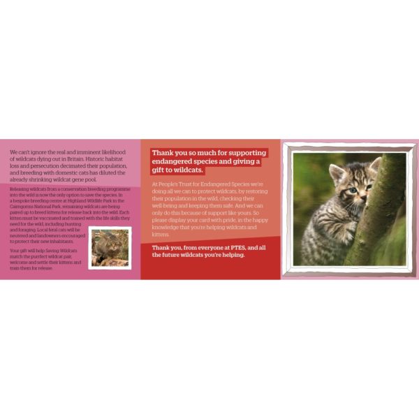 Wildcats GfN valentines card - Inside