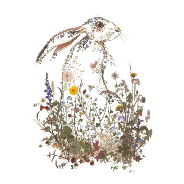 Hare Flower Pressed Greetings card
