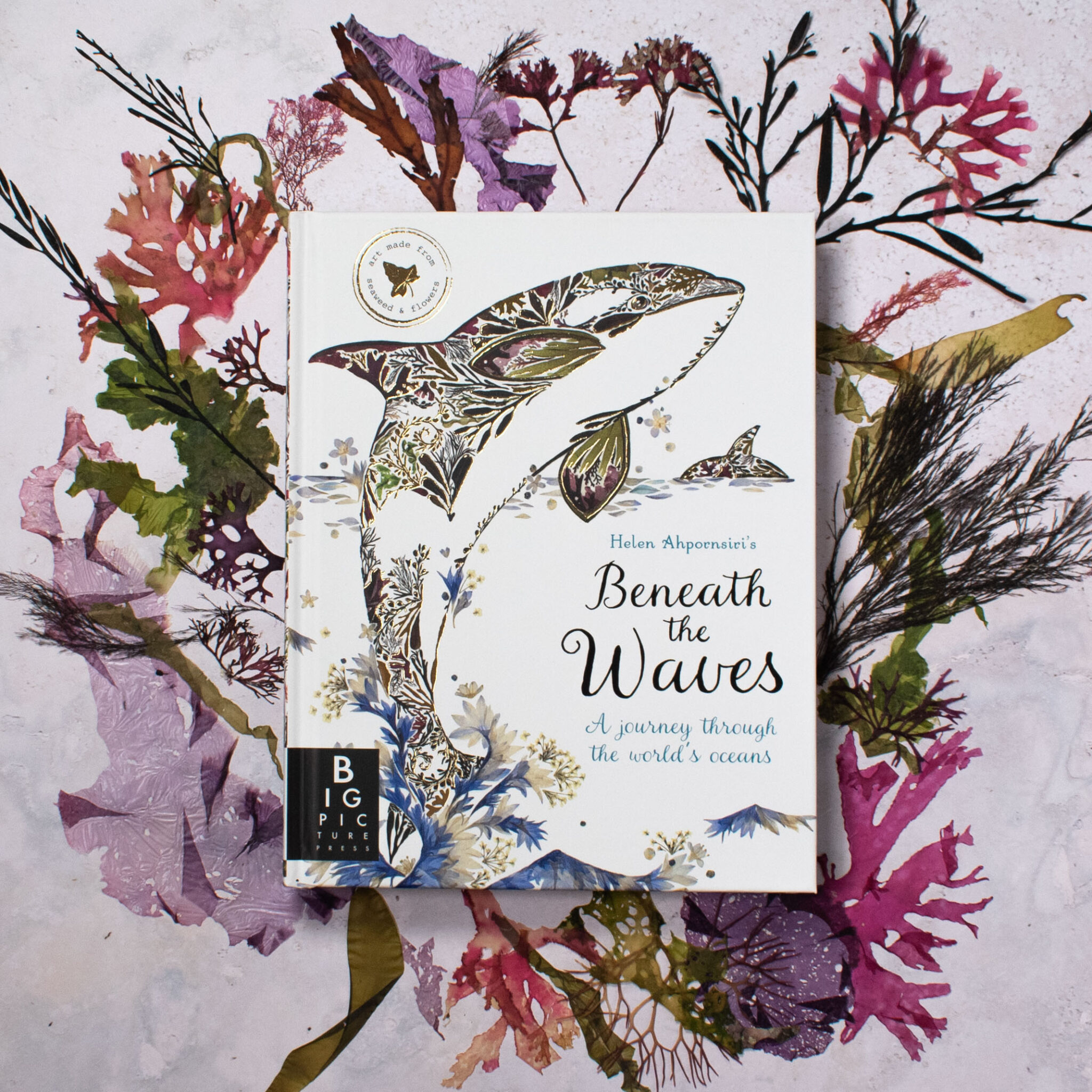 Beneath the Waves - People's Trust for Endangered Species