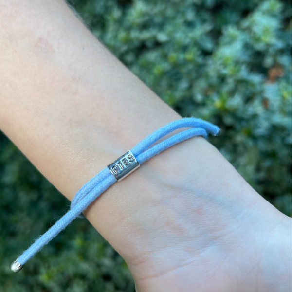 Blue PTES hedgehog charm bracelet