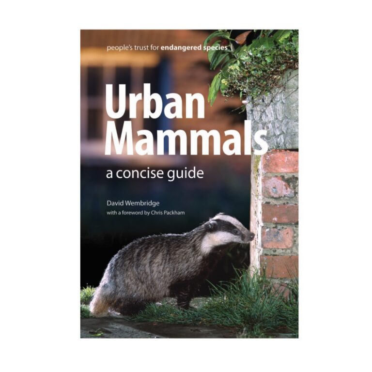 Urban-Mammals- by David Wembridge -PTES Shop