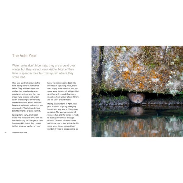 The Water Vole book