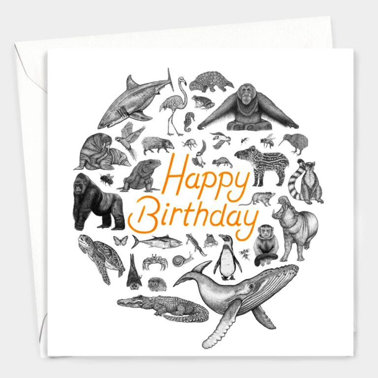 animal-kingdom-birthday-card