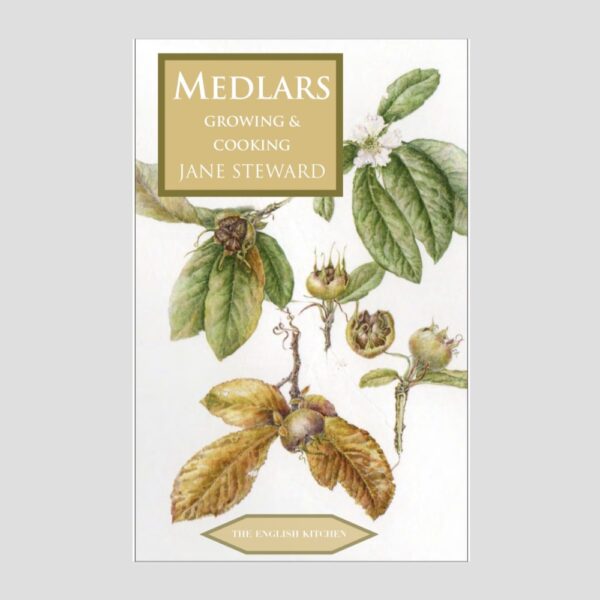 Medlars Growing and cooking By Jane Steward