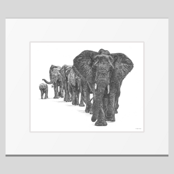 Elephant herd art print