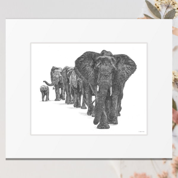 Elephant herd art print