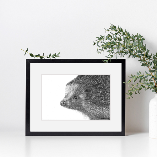 Hedgehog framed art print