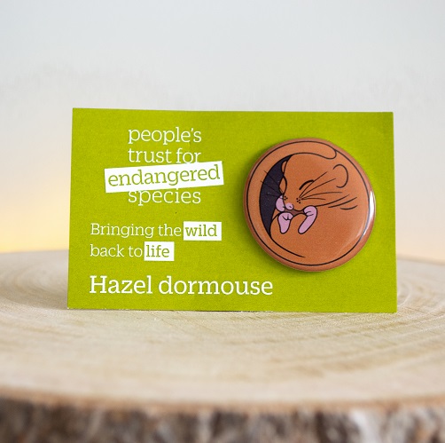 Hazel dormouse pin badge- People's Trust for Endangered Species
