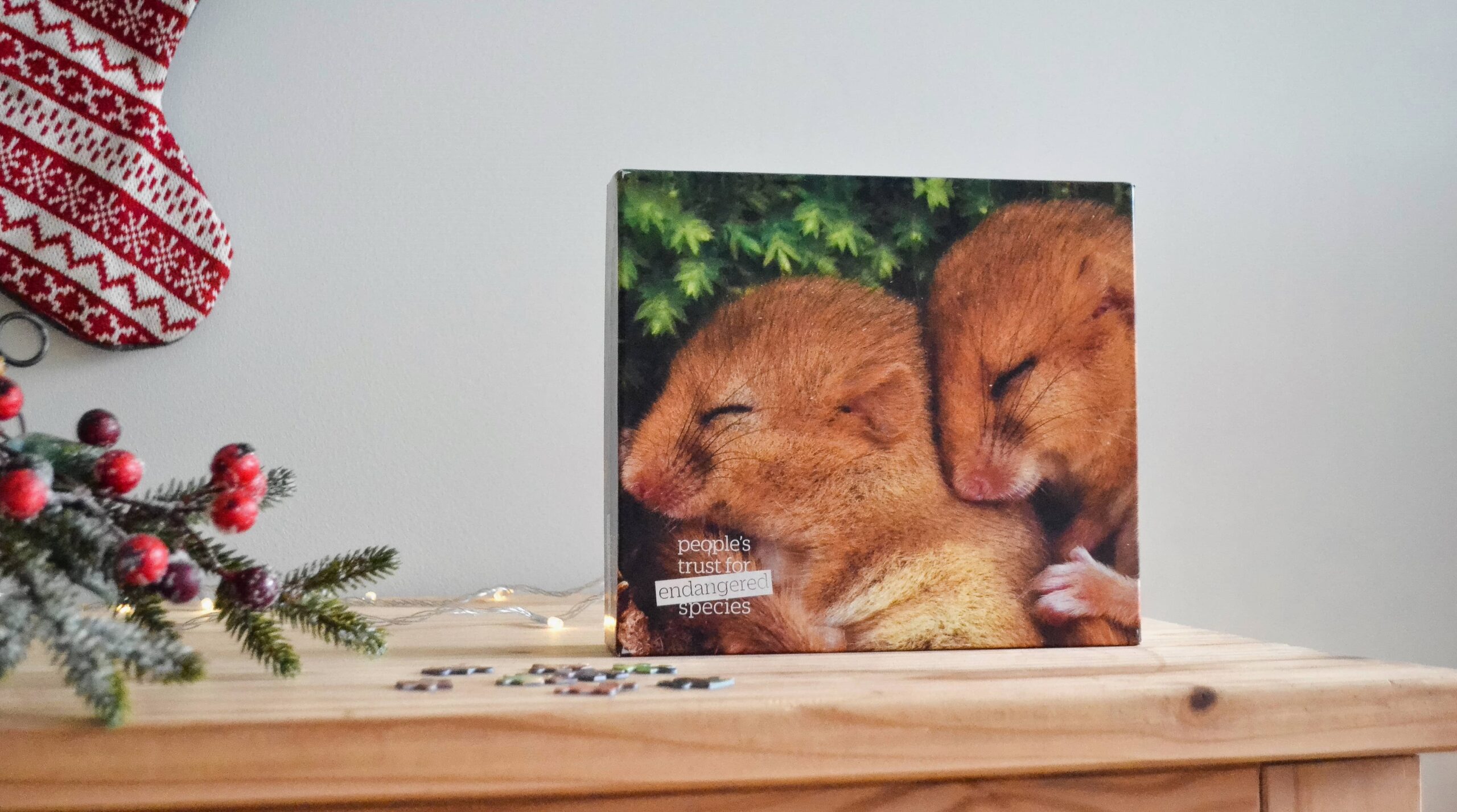 1000 Piece dormice jigsaw - People's Trust for Endangered Species