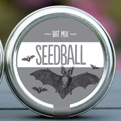 Bat Seedball Tins