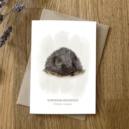 dk-hedgehog-card-front