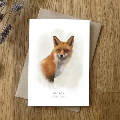 dk-red-fox-card-front