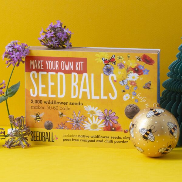 seedball-make your own