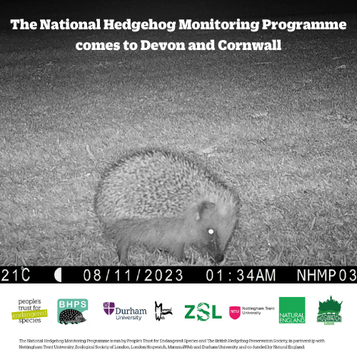 The National Hedgehog Monitoring Programme comes to Devon and Cornwall