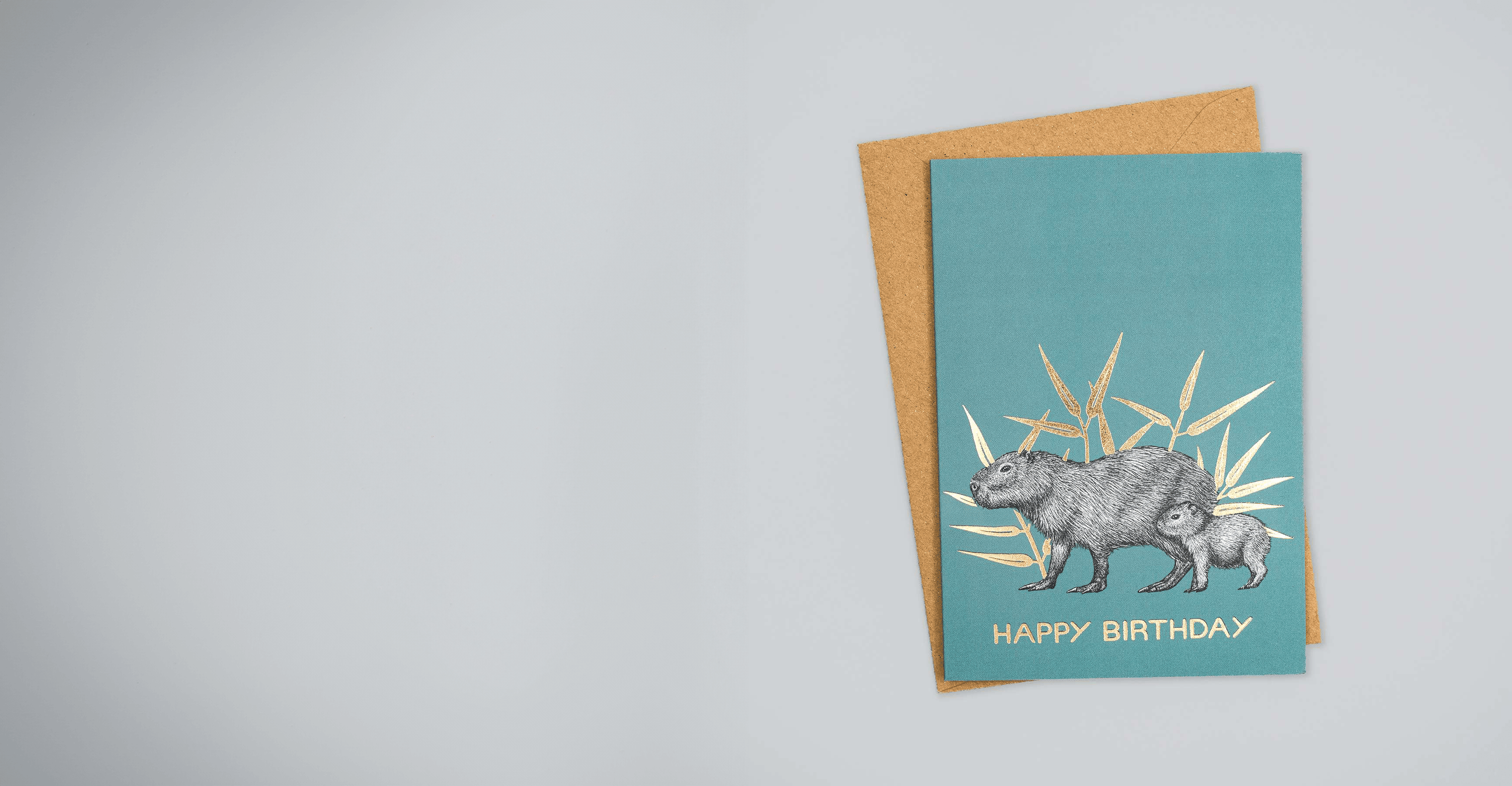 Wildlines Greetings Cards - PTES Shop