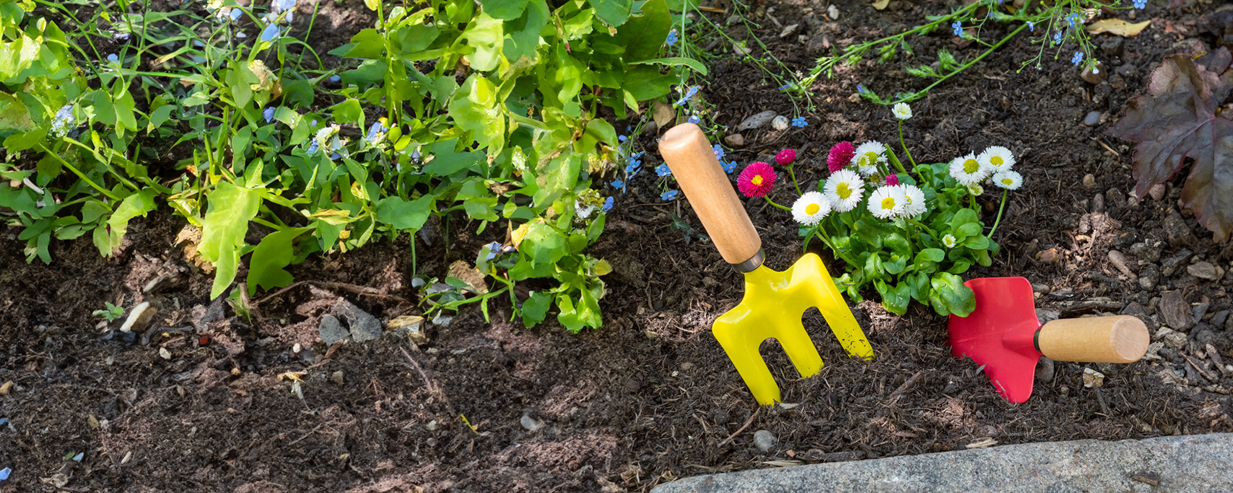 REX London spade and fork - People's Trust for Endangered Species