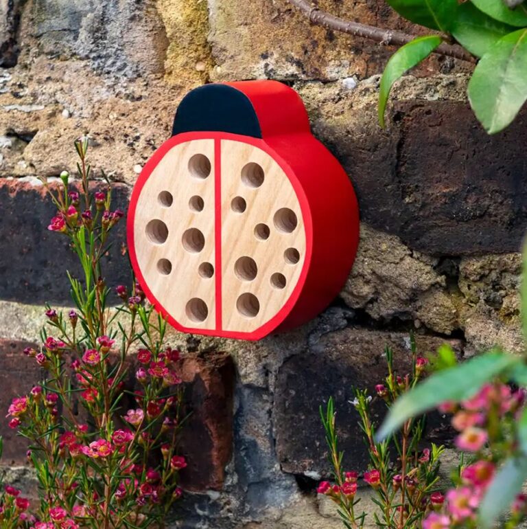 Ladybird bug hotel - PTES Shop