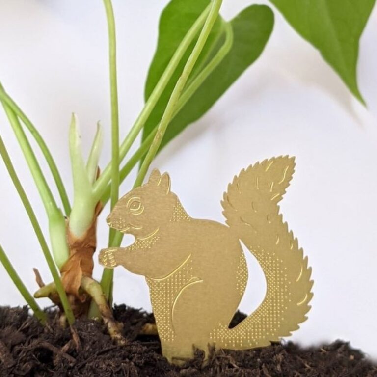 Another Studio Plant Animal squirrel - PTES Shop