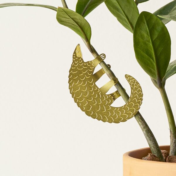 Another Studio Plant animal pangolin - PTES Shop