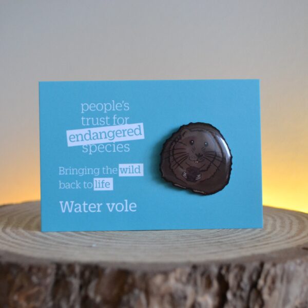 People's Trust for Endangered Species Water Vole Pin Badge