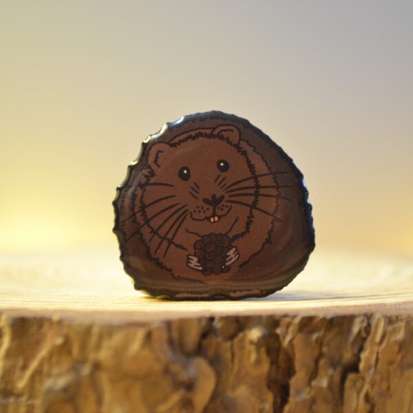 People's Trust for Endangered Species Water Vole Pin Badge