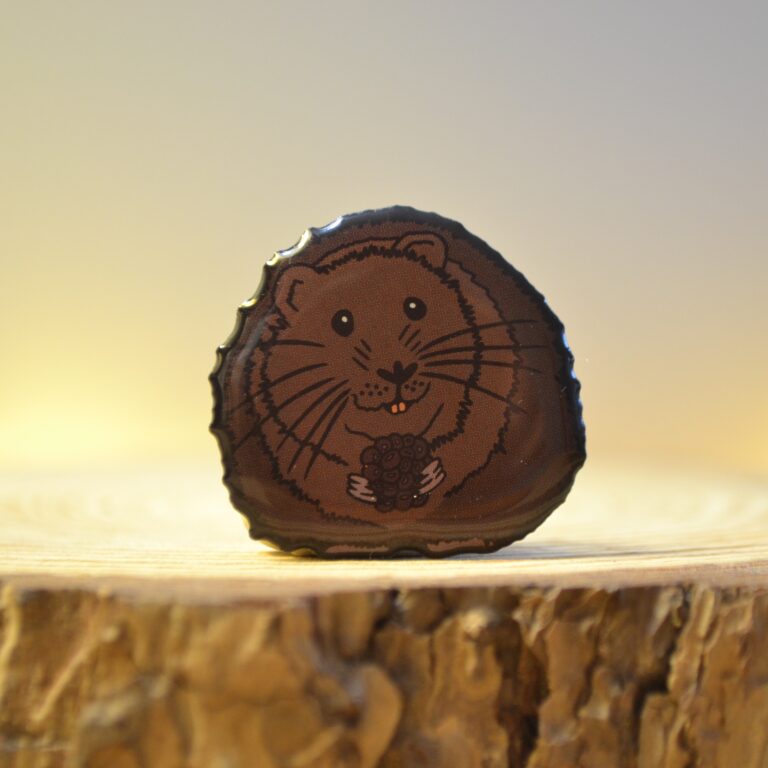 People's Trust for Endangered Species Water Vole Pin Badge